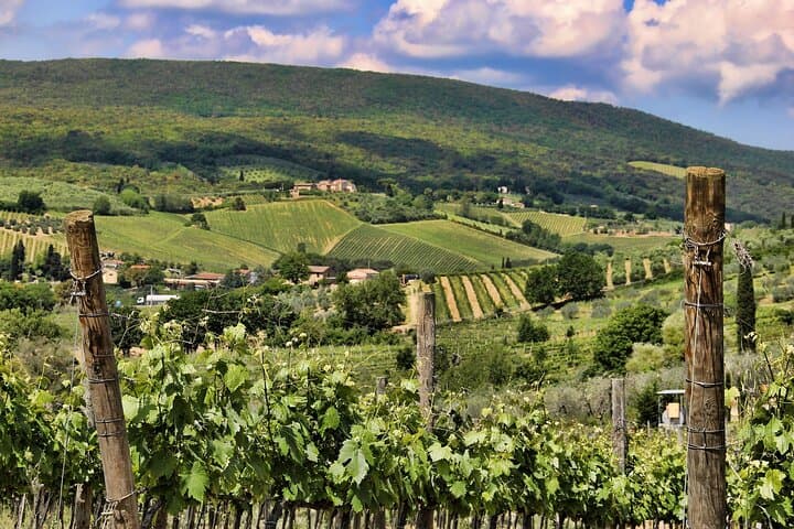 Livorno Experience Coast Tour and Wine Tasting