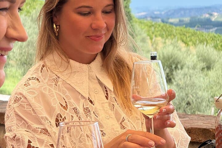 Ultimate Tuscany Wine Tour: 3 Wineries & lots of Tastings