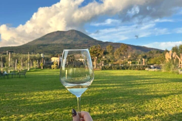Wine Tasting on Mt. Vesuvius & Lunch