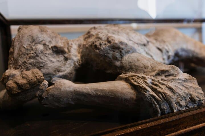 Pompeii & Mt. Vesuvius Hike & Wine — Small Group, All Inclusive