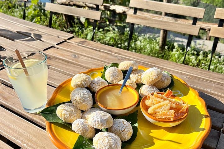 Tasting on the Path of the Lemons with Tour in the Lemon grove