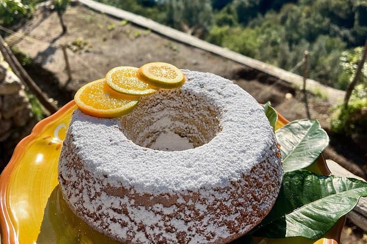 Tasting on the Path of the Lemons with Tour in the Lemon grove