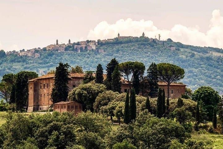 Historic Castle & Brunello Wine Experience in Montalcino
