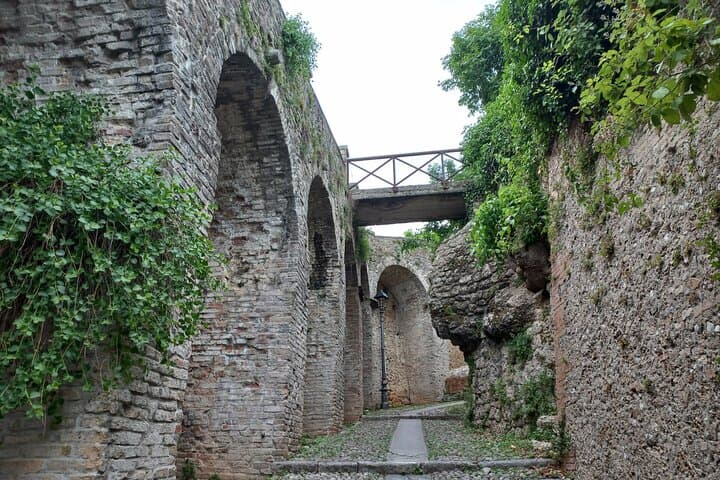 Prosecco Hills Day Trip from Venice & Treviso: 2 Wineries