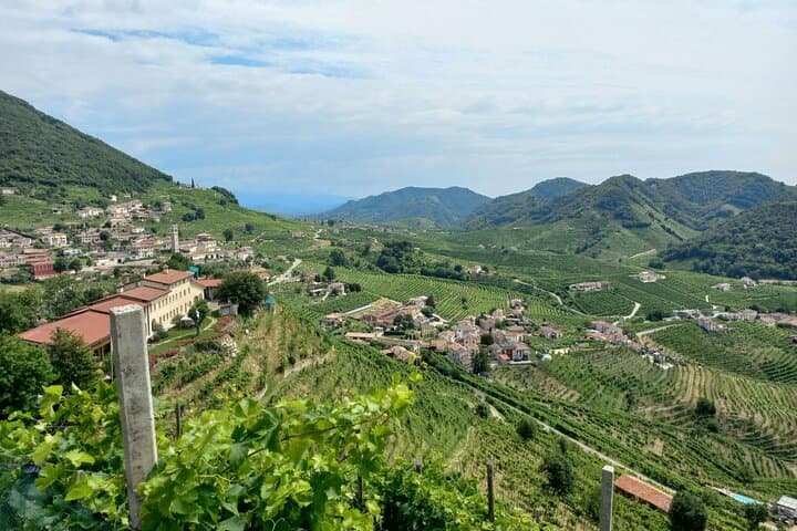 Prosecco Hills Day Trip from Venice & Treviso: 2 Wineries