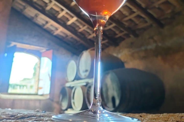 Etna Wine Tasting Tour from Taormina Area