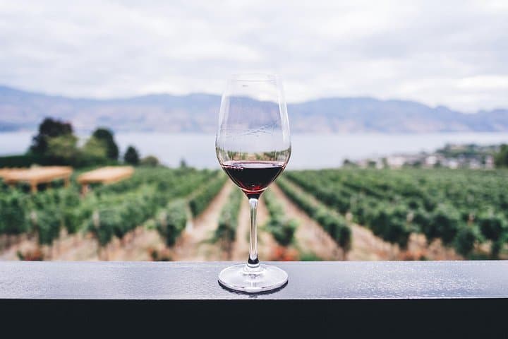 Etna Wine Tasting Tour from Taormina Area