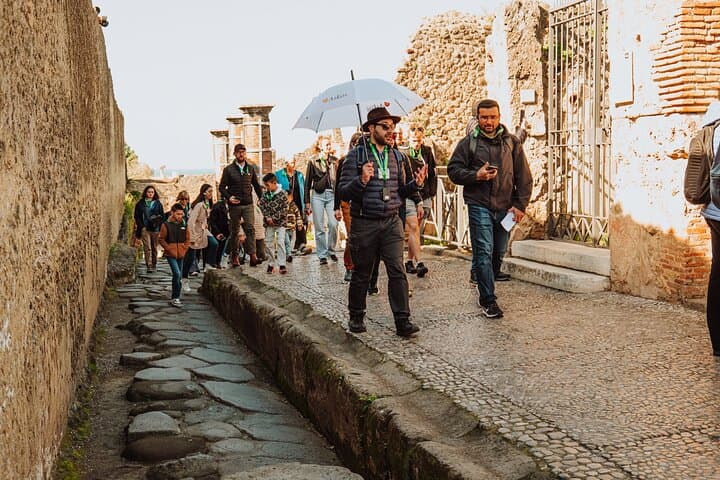 Pompeii Excursion From Sorrento