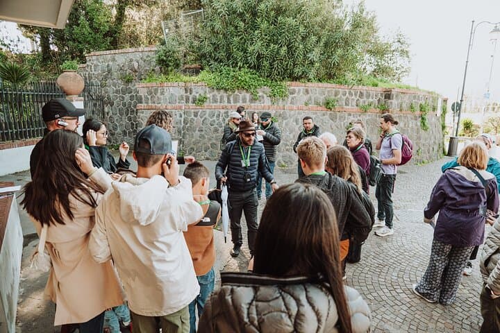 Pompeii Day Trip from Rome by High-Speed Train and Guided Tour