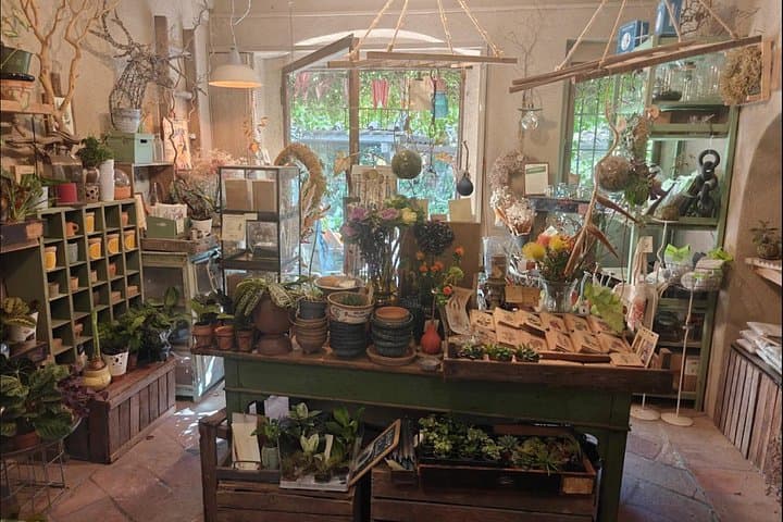 Japanese Kokedama Class in Milan’s Navigli District