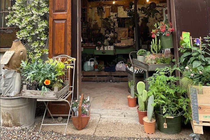 Japanese Kokedama Class in Milan’s Navigli District