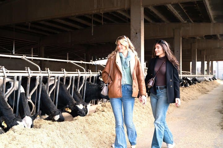 Private Day Tour & Lunch: Parmesan, Wine, and Vinegar Tasting