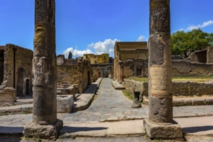 Herculaneum: skip the line entry ticket (art) + audioguide & map