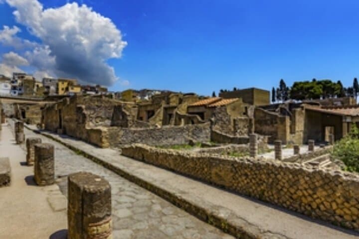 Herculaneum: skip the line entry ticket (art) + audioguide & map