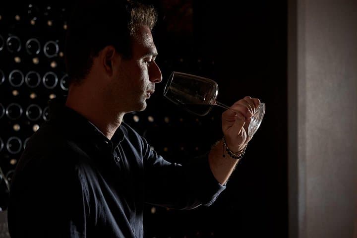 Wine Tasting with Food Pairings in Bari City Center