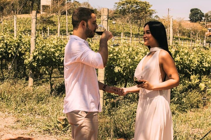 Pompei & Wine Tasting from Naples- Guide,Transfer and Tickets
