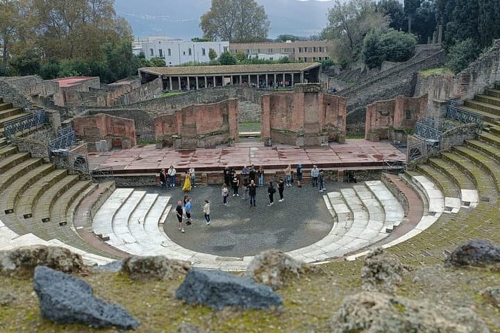 Step into History: Private Pompeii Tour from Naples Hotel or Port