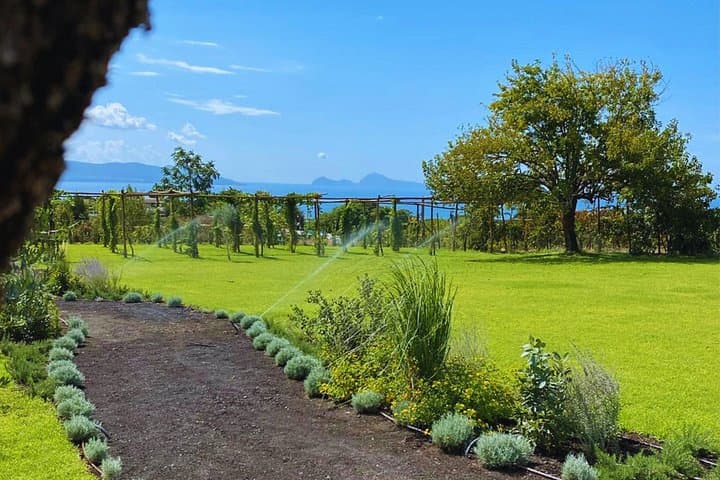 Pompeii & Mt. Vesuvius Hike & Wine — Small Group, All Inclusive