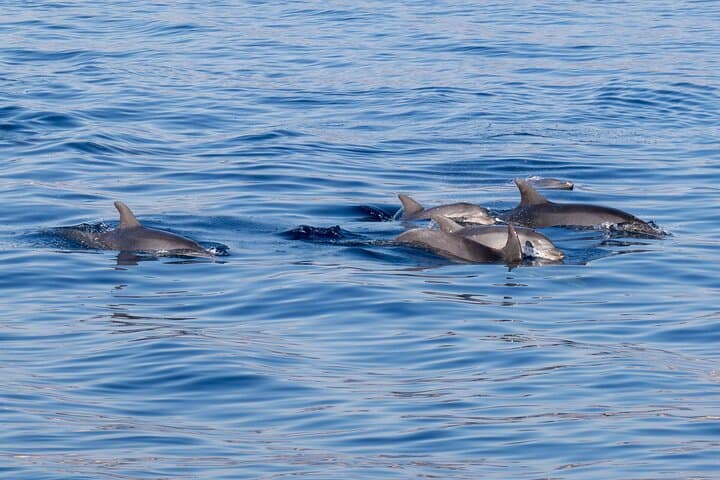Letojanni Group Boat Tour, Taormina and Giardini Naxos