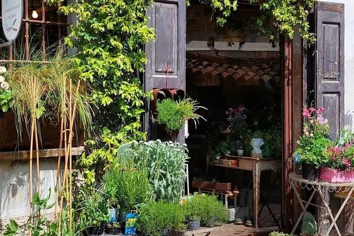 Japanese Kokedama Class in Milan’s Navigli District