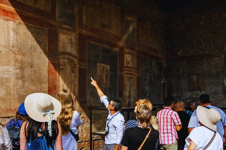 Pompei & Wine Tasting from Naples- Guide,Transfer and Tickets
