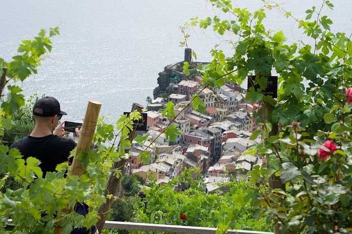 Heroic : Vineyard Trekking & Authentic Wine Tasting in Vernazza
