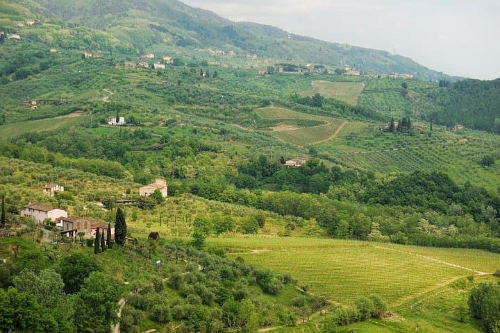 Self Guided Bike Tour from Lucca to Montecarlo Wine Roads