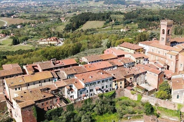 Self Guided Bike Tour from Lucca to Montecarlo Wine Roads