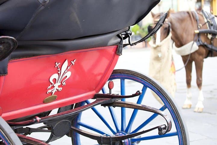 Horse Drawn Carriage Ride in Florence