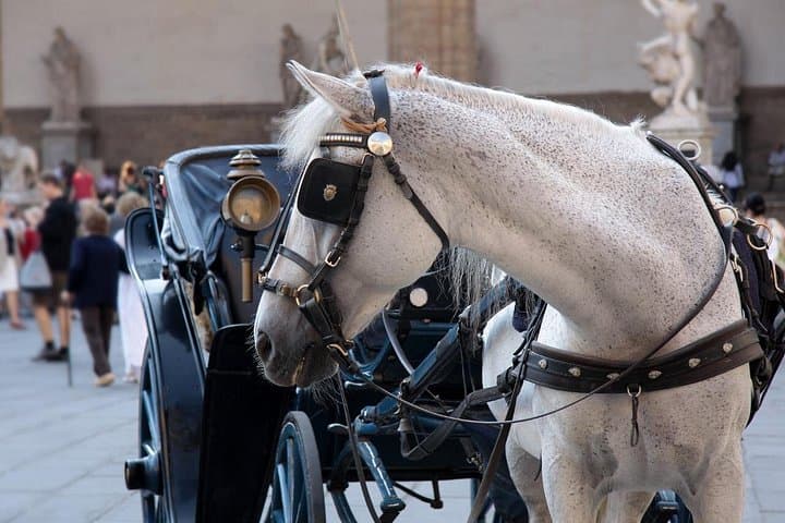 Horse Drawn Carriage Ride in Florence