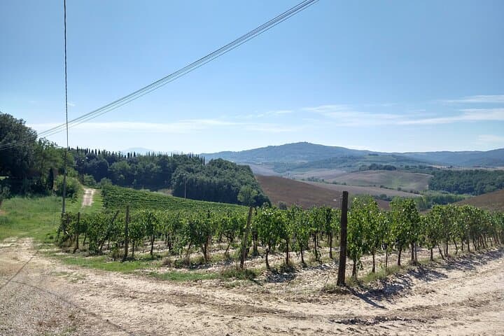 Montalcino: Guided Winery Tour with Tuscan Wine & Cheese Tasting