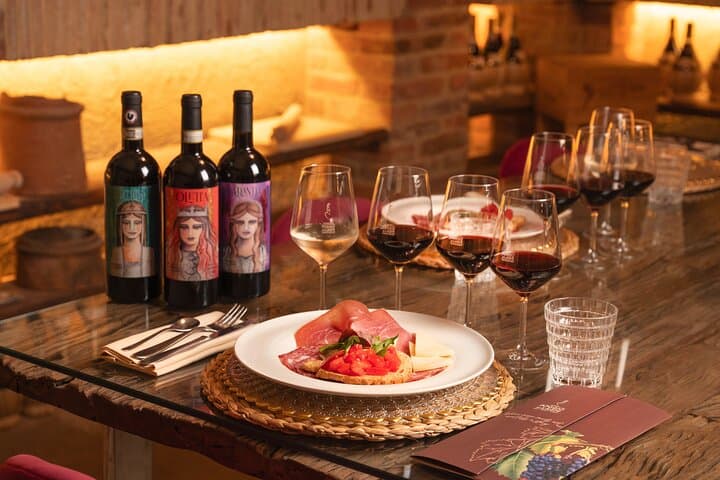 Wine Experience In Chianti Hills from Florence