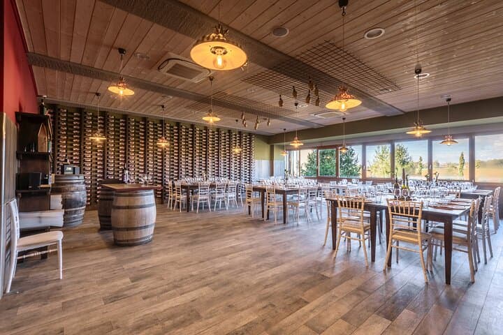 Wine Experience In Chianti Hills from Florence