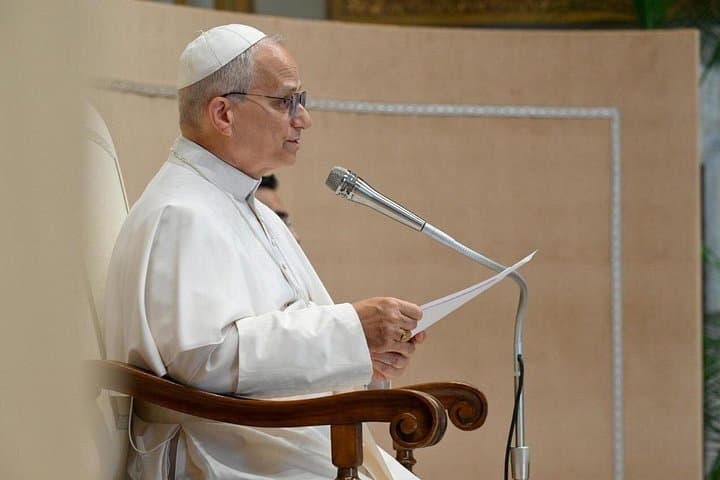 Vatican : Papal Audience Tour with Experience Guide