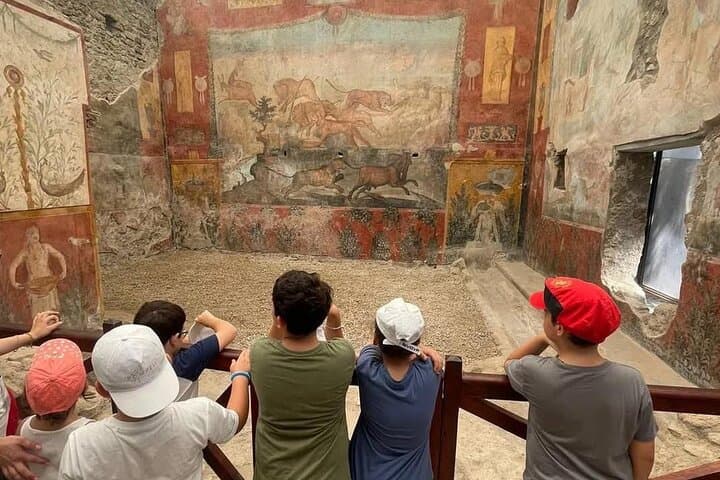 From Naples : Group Tour Pompeii and Mt.Vesuvius with light Lunch