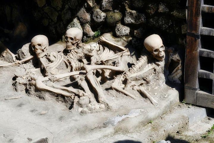 Pompeii and Herculaneum Tour from Sorrento with Tickets and Lunch