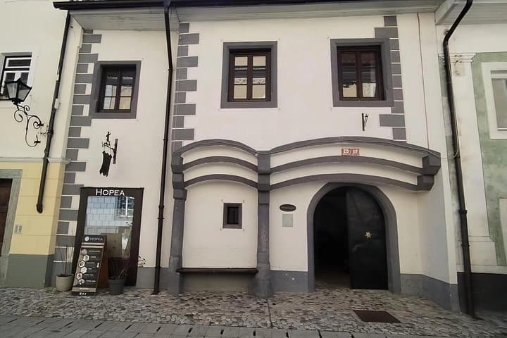 Lake Bled and Radovljica Old Town Full Day Tour from Trieste