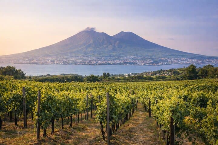 Wine Tasting Tour on the Slopes of Vesuvius