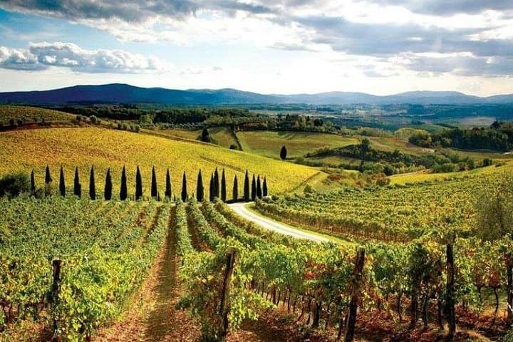 Pisa, Siena and San Gimignano: Day Trip from Florence With Lunch