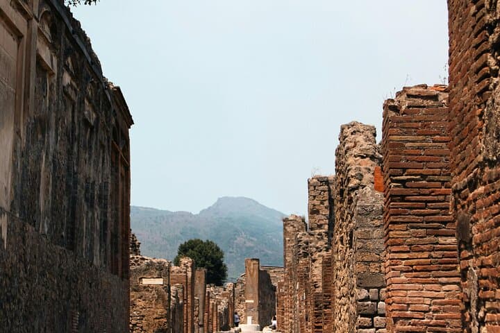 Visit Pompeii bus roundtrip with ticket