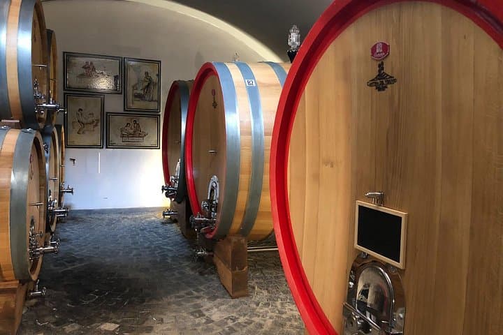 Herculaneum-Wine tour from Sorrento, with licensed guide included
