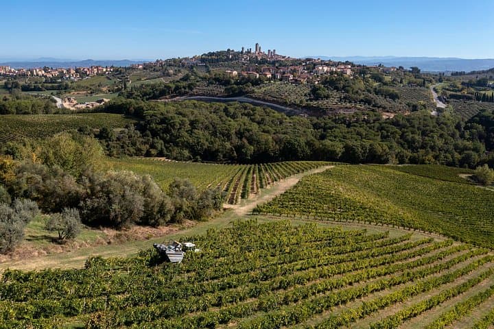 Wine Tasting "San Gimignano"