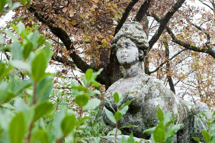 Bomarzo Park of the Monsters - Mystery Tour from Rome