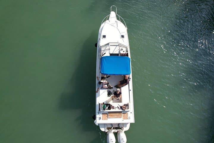 The Magic of the Venetian Lagoon - Small Group Boat Experience