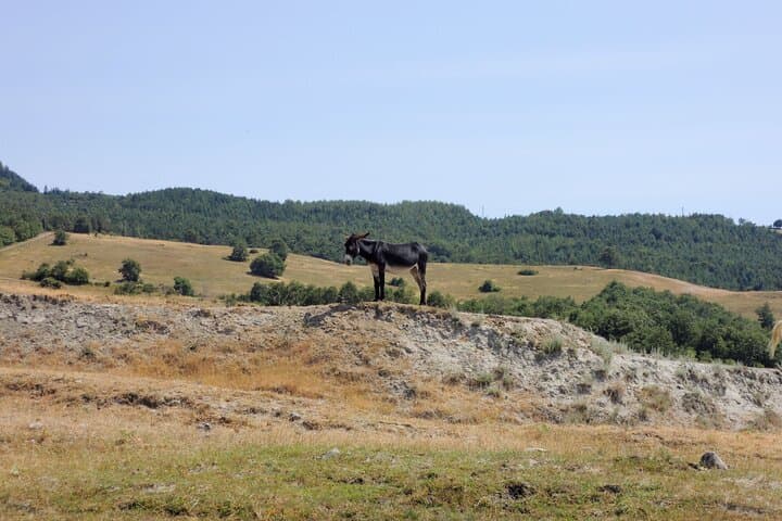 Tuscany Countryside in 2 Days on Horseback and E-Bike in Montepulciano