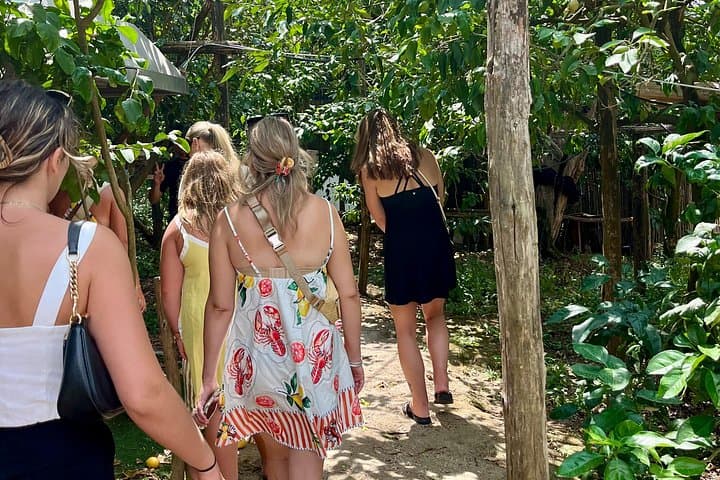 Sorrento: Farm Tour with Tasting and Picking