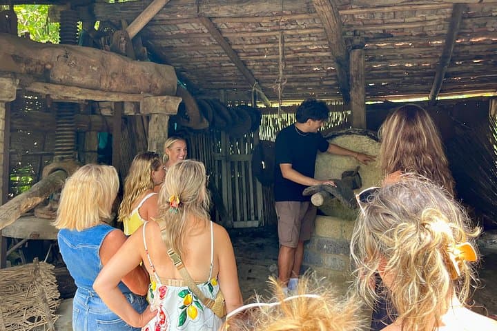 Sorrento: Farm Tour with Tasting and Picking