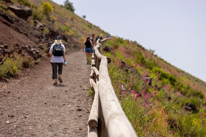 Skip the line Pompeii and Vesuvius full day tour from Sorrento