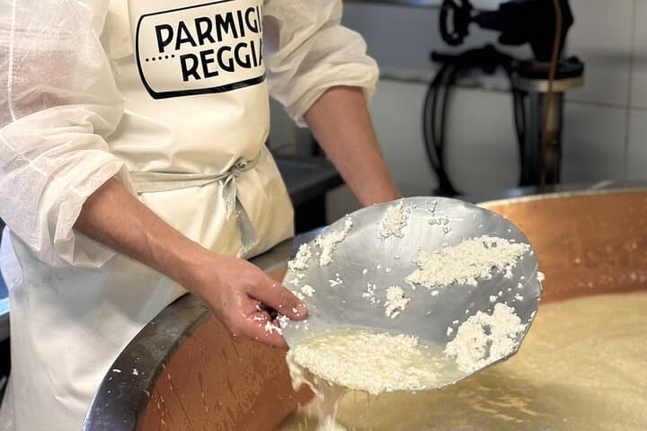 Visiting the Parmigiano Reggiano dairy farm
