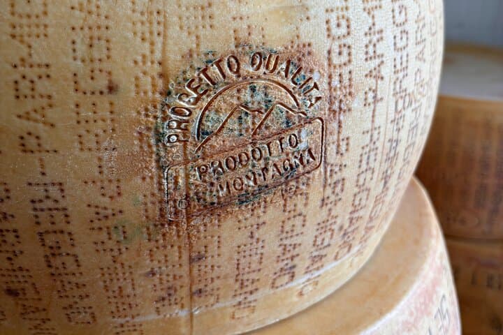 Visiting the Parmigiano Reggiano dairy farm